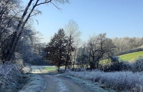 Ferienwohnung Kreiller - Foto 12