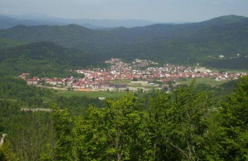 Holiday Home in Brod Moravice with Pool - Foto 30