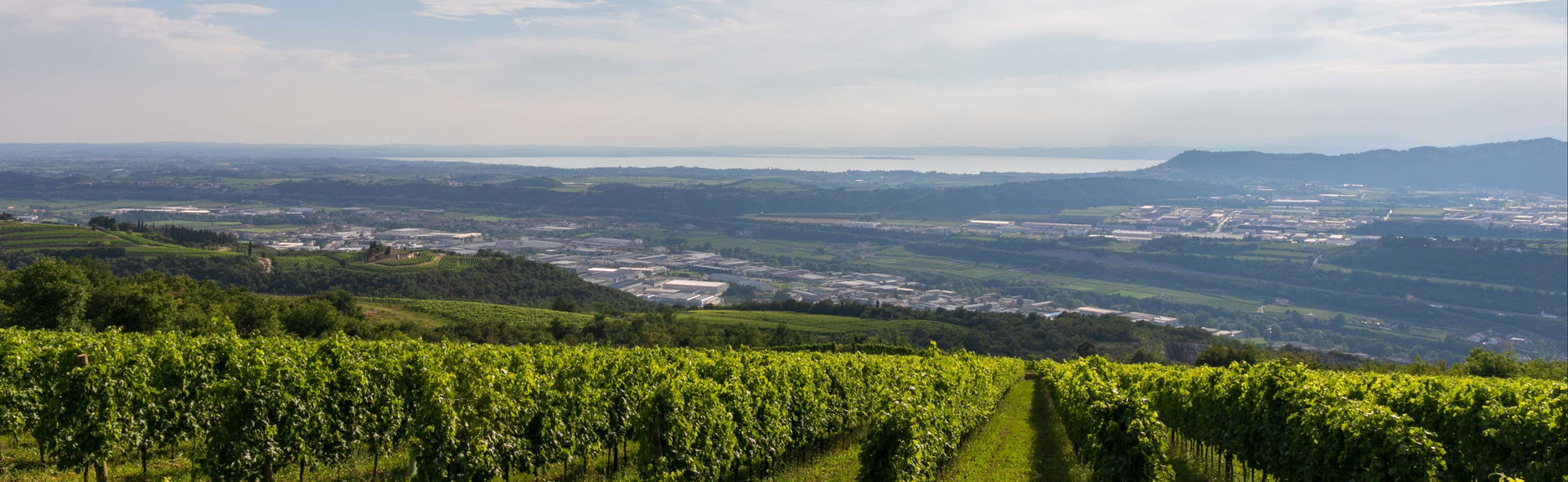 Giovanna Tantini Winery Guided Tour + Tasting