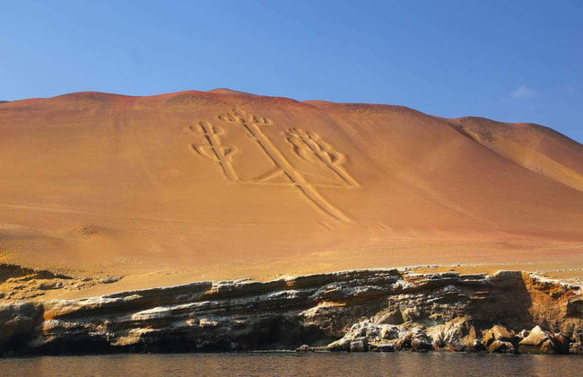 Excursión a las islas Ballestas y la Reserva Nacional de Paracas - Foto 6