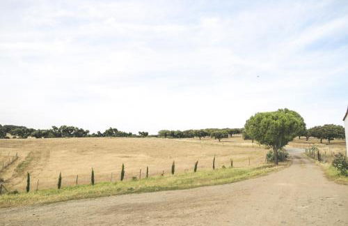 Casas da Faia - Nature Guest House - Foto 52