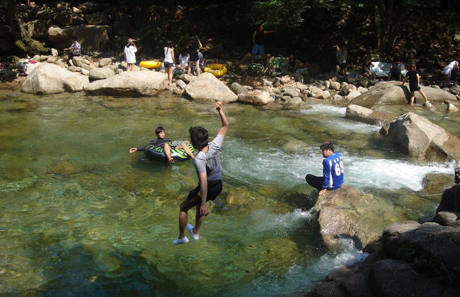 Chamjoeun pension - Foto 14