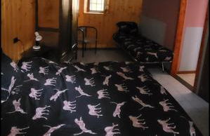 '' Al Pèrgul '' - Photo 8