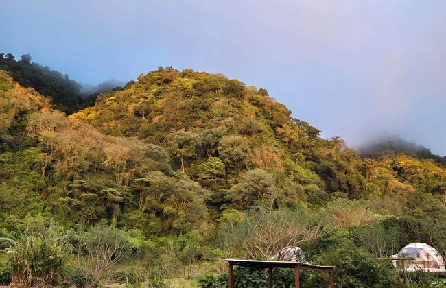 Glampling Nubes de Monteverde - Foto 61