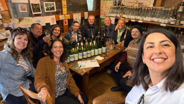 Visita guiada en grupo pequeño a las bodegas de la Ruta del Vino de Alsacia desde Estrasburgo - Foto 5