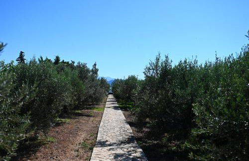 Villa of luxury and serenity - Photo 22