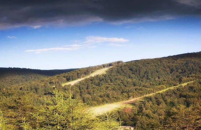 Casa Ferica - Foto 22