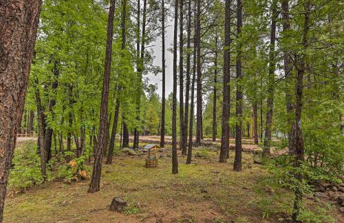 Wooded Yard, Gas Grill Lush Pinetop Retreat - Foto 31