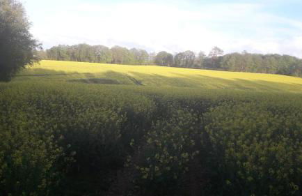 Le Cottage de L Abbaye - Photo 39