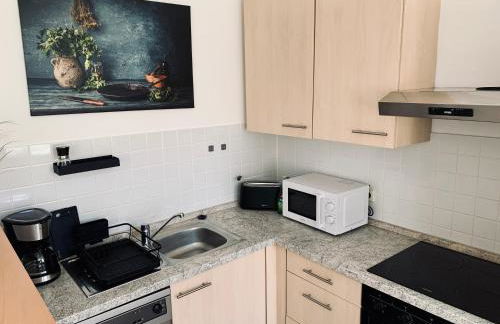 Moderne Ferienwohnung im Zentrum von Grimma - Foto 6