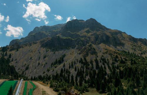 Armonia Pramanta Mountain Tzoumerka - Photo 53