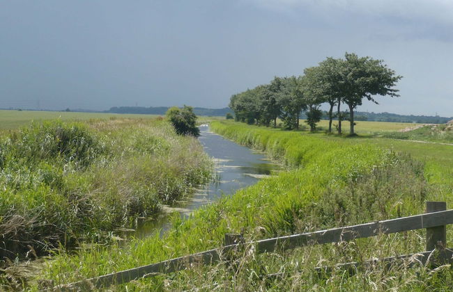Cottage in Brookland Near Romney Marsh - Photo 20