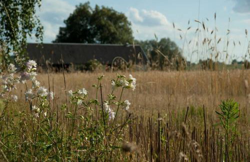 Dom z basenem nad Narwią - Foto 28