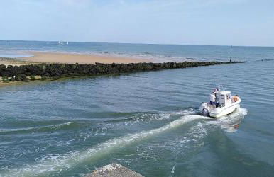 T2 Nid Serein, jardin, calme, proche centre-ville, port, plages - Photo 19