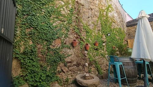 El Naturalista - Los sitios de aravalle - Foto 4