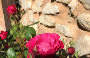 maison-michael - Foto 8