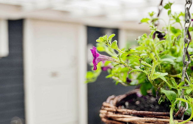 Modern Holiday Home Near Nibe With Terrace - Foto 17