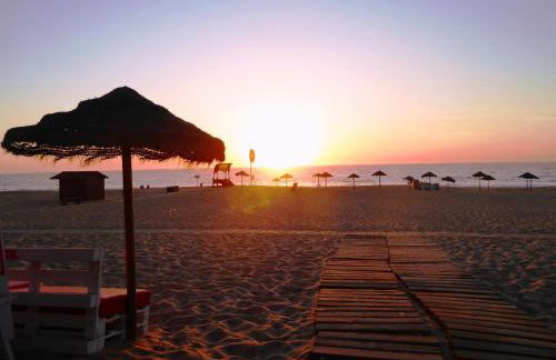 Monte da Cascalheirinha - Foto 30