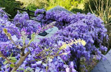 Ribera Sacra ( apartamento Rural ) - Foto 29