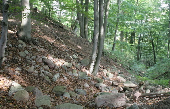 Holiday Apartment Nature View - Foto 13