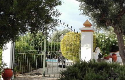 Monte dos Aroeirais - Foto 3