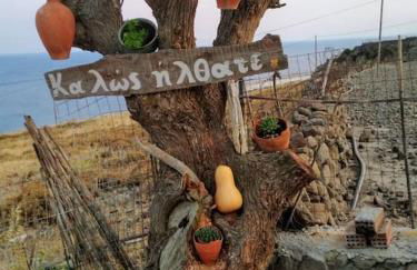 Κτήμα Κουρλή - Photo 11