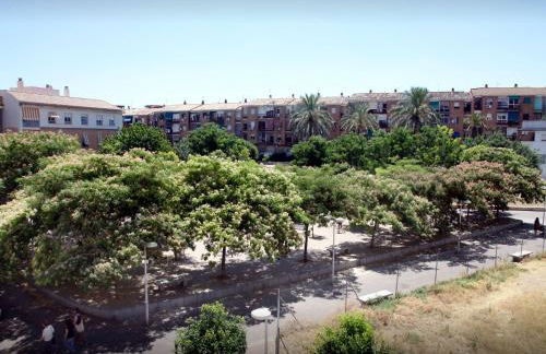 Golondrina - Foto 22