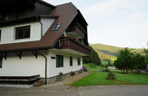 Hörnleberg - Stubenhof, Black Forest - Foto 17