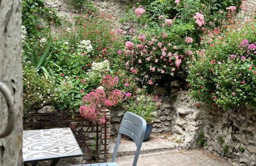 Châtel Rose - Historical Centre with Garden - Foto 2