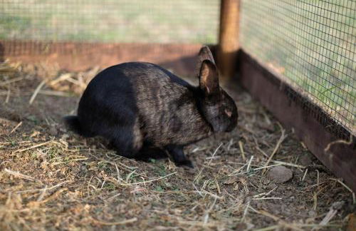 Agriturismo Bisenzio - Foto 6