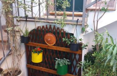 Il Nespolo - Foto 30