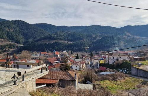 The Black Chestnut - Foto 12