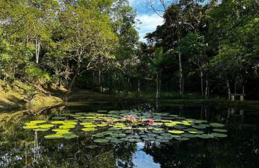 Casa de campo com cachoeira no quintal - Foto 28