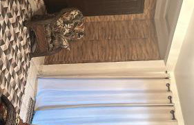 Cantinho da jana - Photo 5