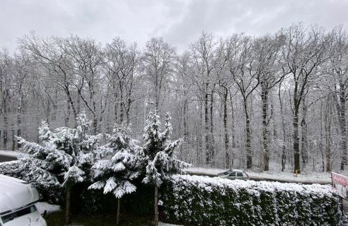 Apartamenty "Natalia" - Foto 9