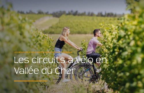 La Petite Caravelle 2 pièces sur jardin - Foto 8