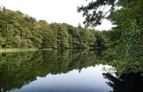 Krüseliner Mühle - Ferienwohnungen - Foto 17