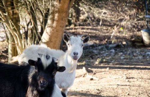 Agriturismo Il Paradiso - Foto 33