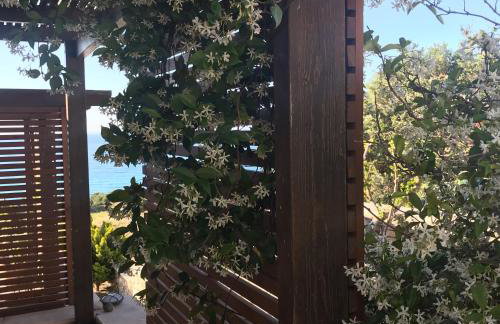 Natica Mare Villas - Foto 8