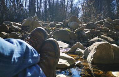 Ferienwohnung am Wald - Photo 26
