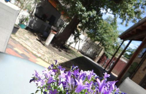 Appartementhaus "Schöni" - Foto 24