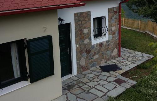 Boletus MushROOM - Foto 24