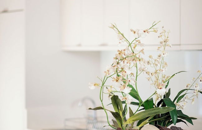 De Waterkant Guest Suites - Foto 22