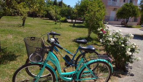 Secret Garden Τemeni - Foto 4