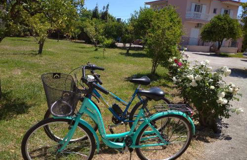 Secret Garden Τemeni - Foto 4