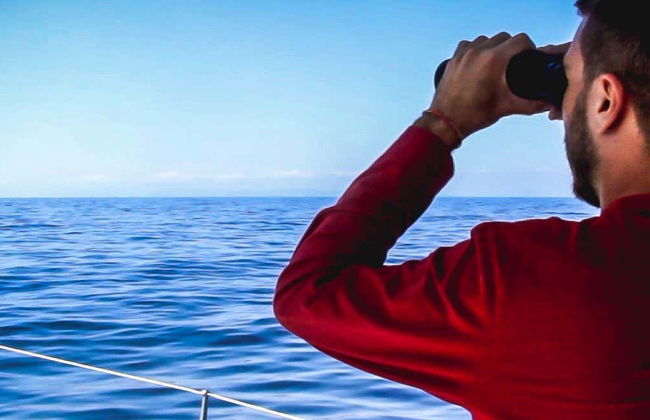 Observation de dauphins et de baleines à Dénia - Photo 1