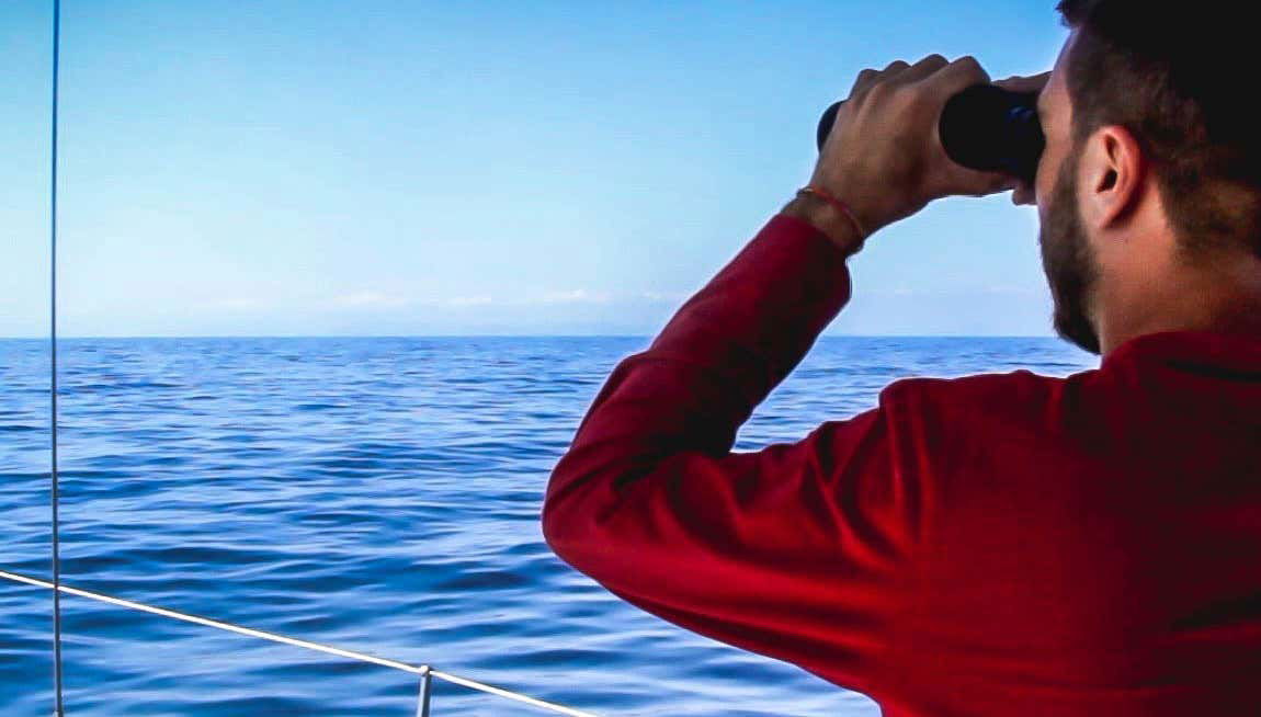 Denia Dolphin + Whale Spotting