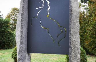 fewo-elzerhof - Foto 40