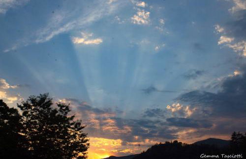 Natura tra bosco e lago - Foto 41