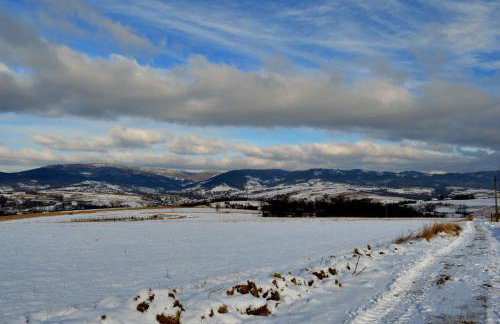 Apartamenty Panorama - Foto 71